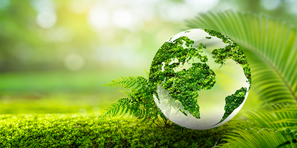 Earth Day Embracing Circularity - Upcycling Composting and Recycling in the Beauty Industry