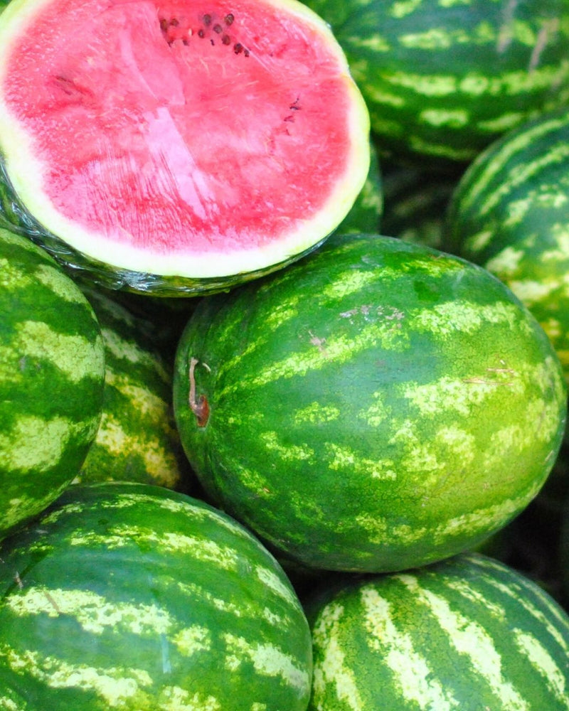 Watermelon Cellular Extract