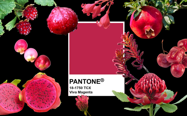 2023 Pantone Botanical Palette