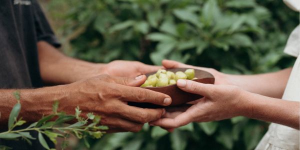 It's Kakadu Plum Harvest Time: From the Outback to the Beauty Counter