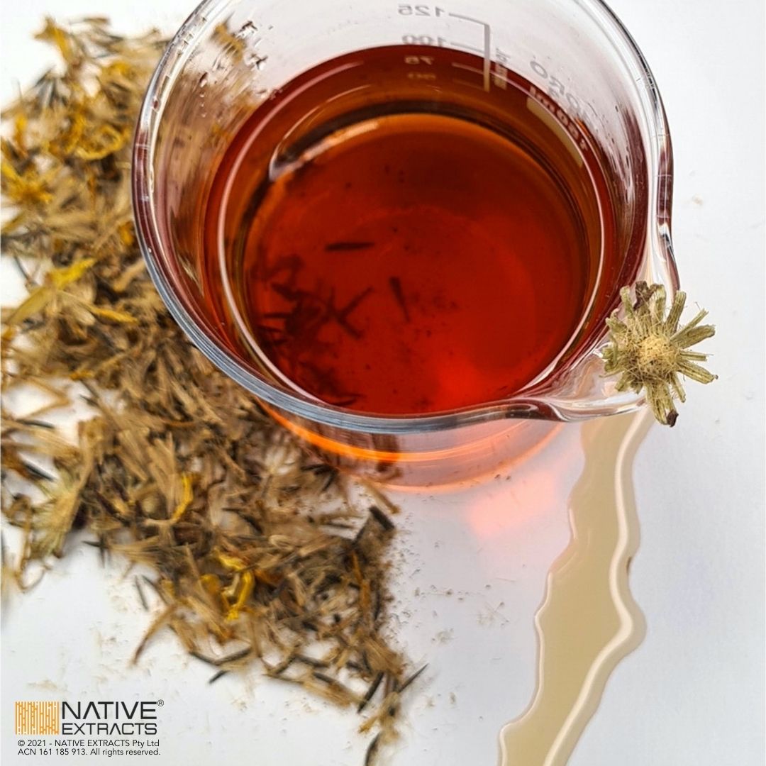 Anti-Inflammatory Flower Power of Arnica – NATIVE EXTRACTS