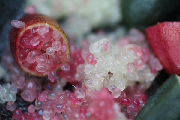 From the Australian Pharmacopoeia | Australian Finger Lime