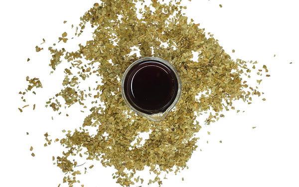 Yerba Mate Packs the Caffeine Punch