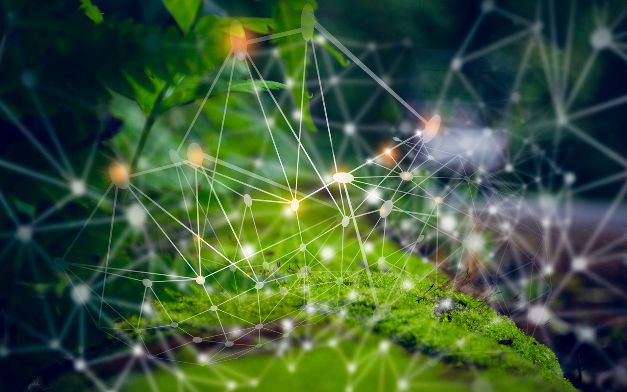 NATIVE EXTRACTS | True to Nature Botanical Extract Manufacturer