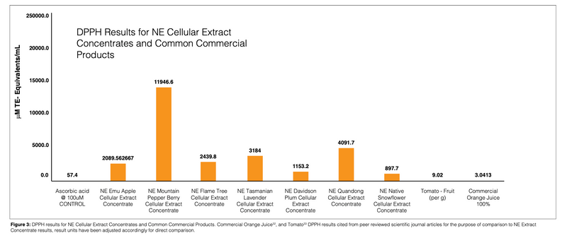 Antioxidants – NATIVE EXTRACTS