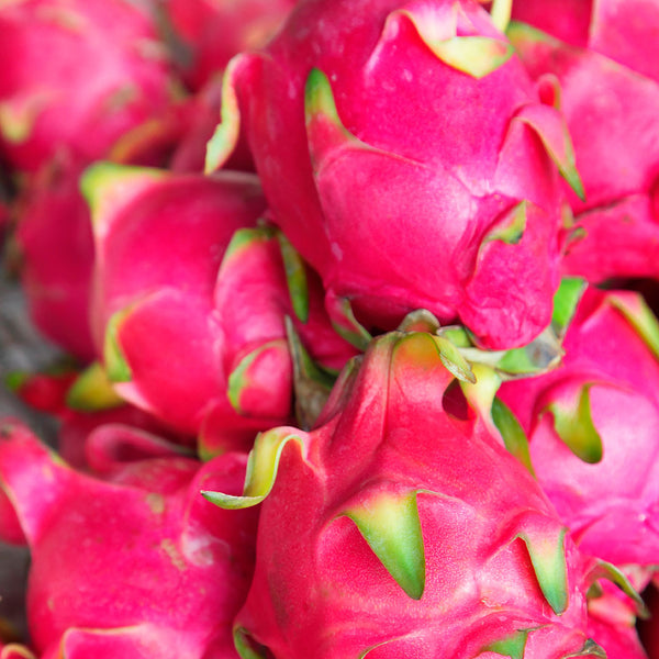 Whole bright pink dragfruits, scientifically known as Hylocereus undatus