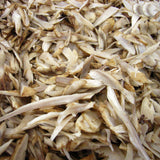 Close up of Burdock root cream to light yellow in colour, scientifically named Arctium lappa