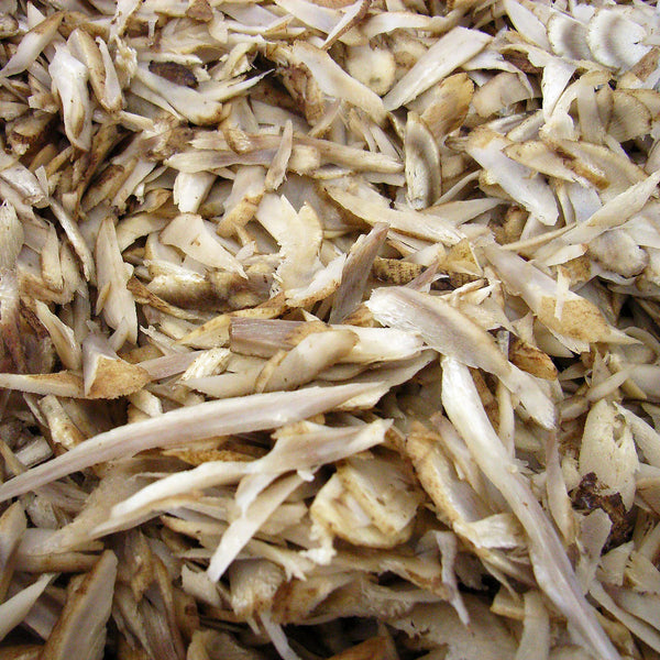 Close up of Burdock root cream to light yellow in colour, scientifically named Arctium lappa