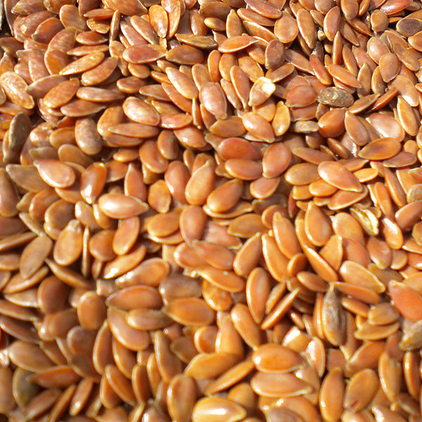 Dried golden flaxseeds scientifically known as Linum usitatissimum create NATIVE EXTRACTS Flaxseed Cellular Extract