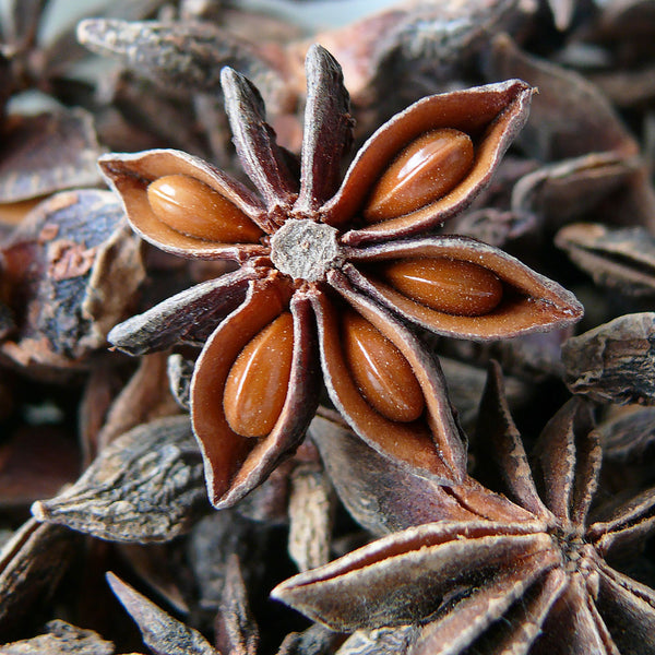 Star anise pod shaped like a star