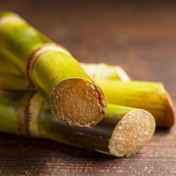 The Sugar Cane (Saccharum officinarum) has long solid stems with a light green exterior and beige centre and is used to create the Native Extracts Sugar Cane Cellular Extract.