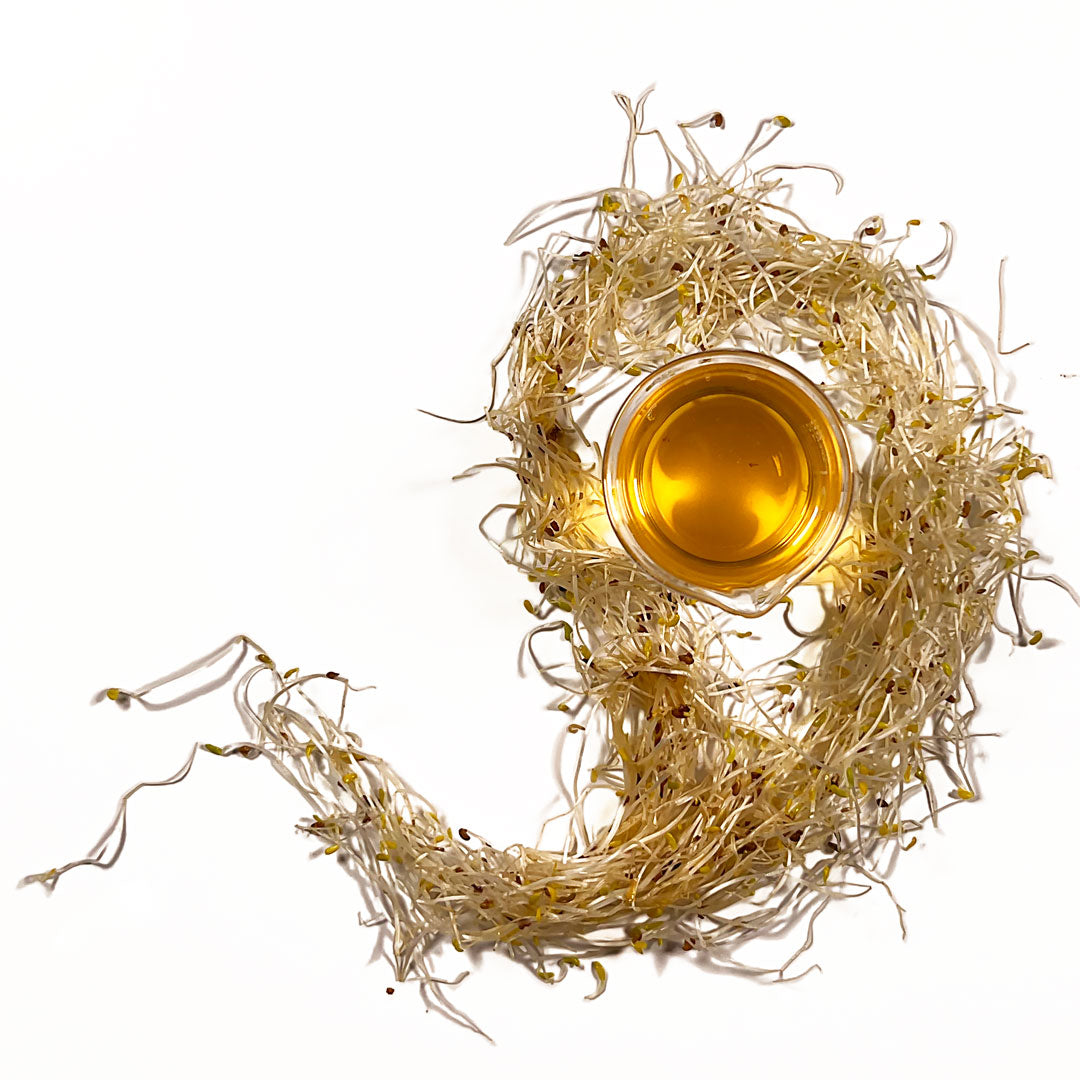 Alfalfa Cellular Extract – NATIVE EXTRACTS