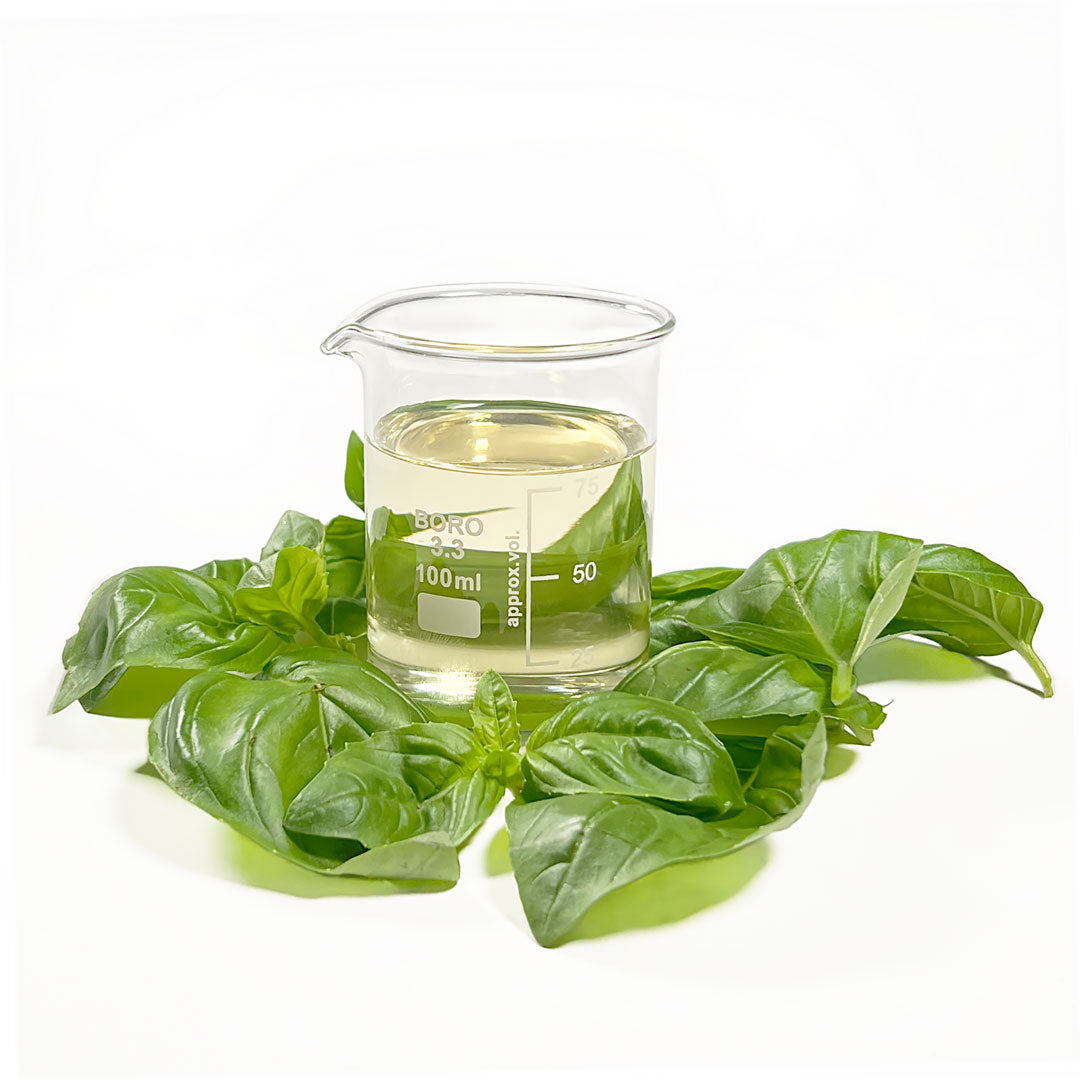 Basil Cellular Extract – NATIVE EXTRACTS