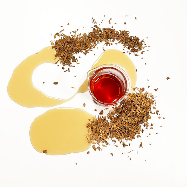 Cinnamon Cellular Extract golden red in colour in a beaker with dried cinnamon chips and golden extract scattered around the beaker, scientifically known as Cinnamomum zeylanicum