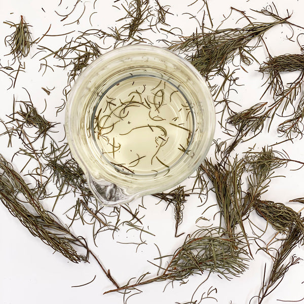 NATIVE EXTRACTS | True to Nature Botanical Extract Manufacturer