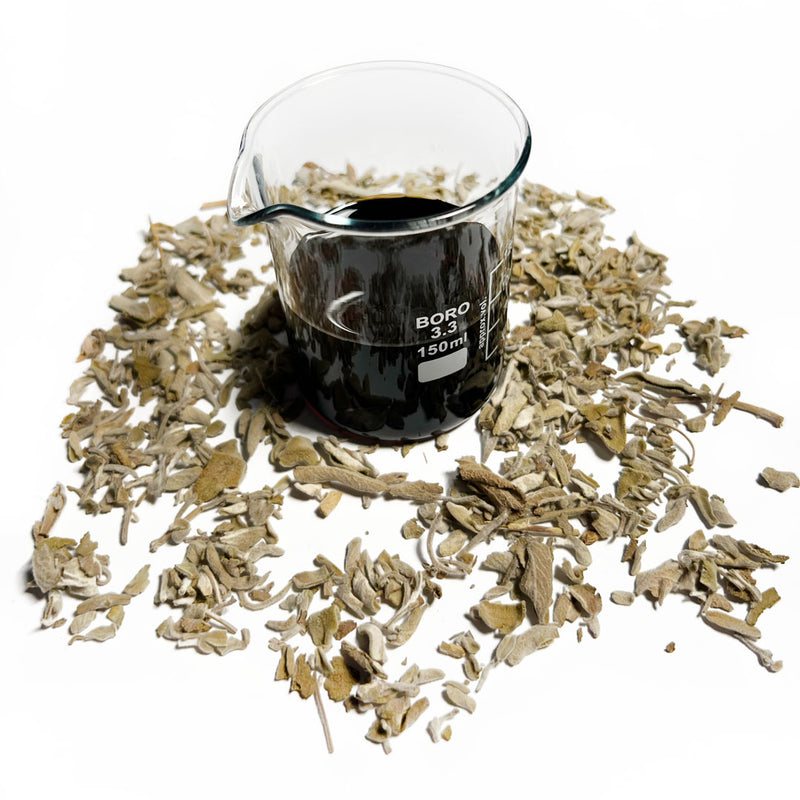 A beaker of Native Extracts Sage Cellular Extract ingredient for cosmetics and skincare.