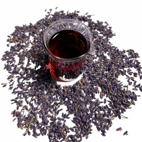 Dried Tasmanian Lavender flowers (Lavendula angustifolia), surround a beaker of Native Extracts Tasmanian Lavender flowers Cellular Extract, which is deep purple, almost red,in colour.