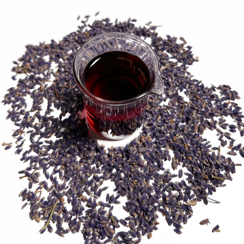 Dried Tasmanian Lavender flowers (Lavendula angustifolia), surround a beaker of Native Extracts Tasmanian Lavender flowers Cellular Extract, which is deep purple, almost red,in colour.