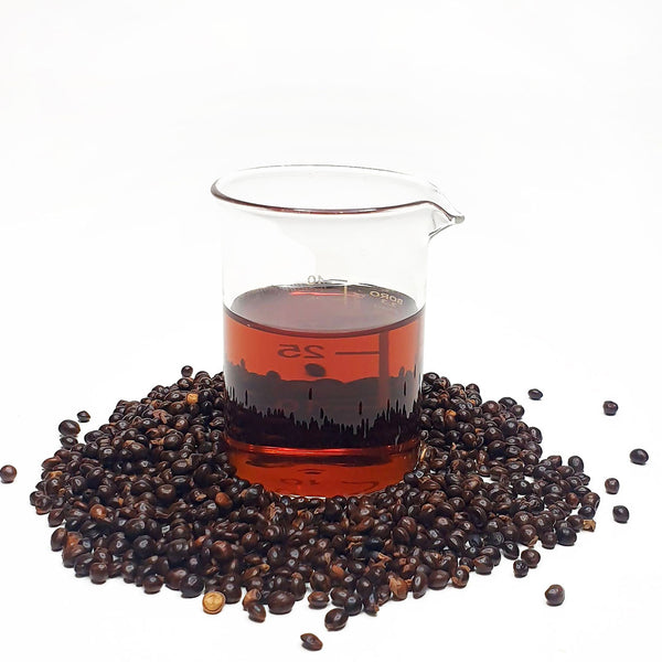 Wattleseed Cellular Extract