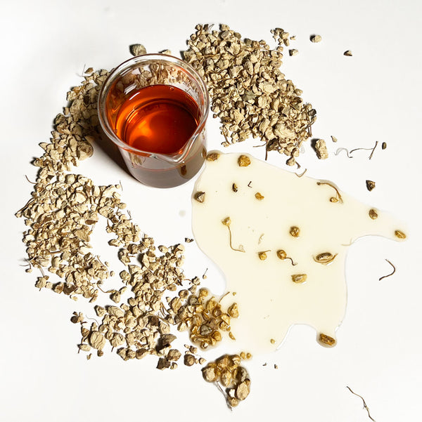 Wild yam roots scientifically known as Dioscorea villosa surround NATIVE EXTRACTS Wild Yam Cellular Extract golden orange in colour in a beaker