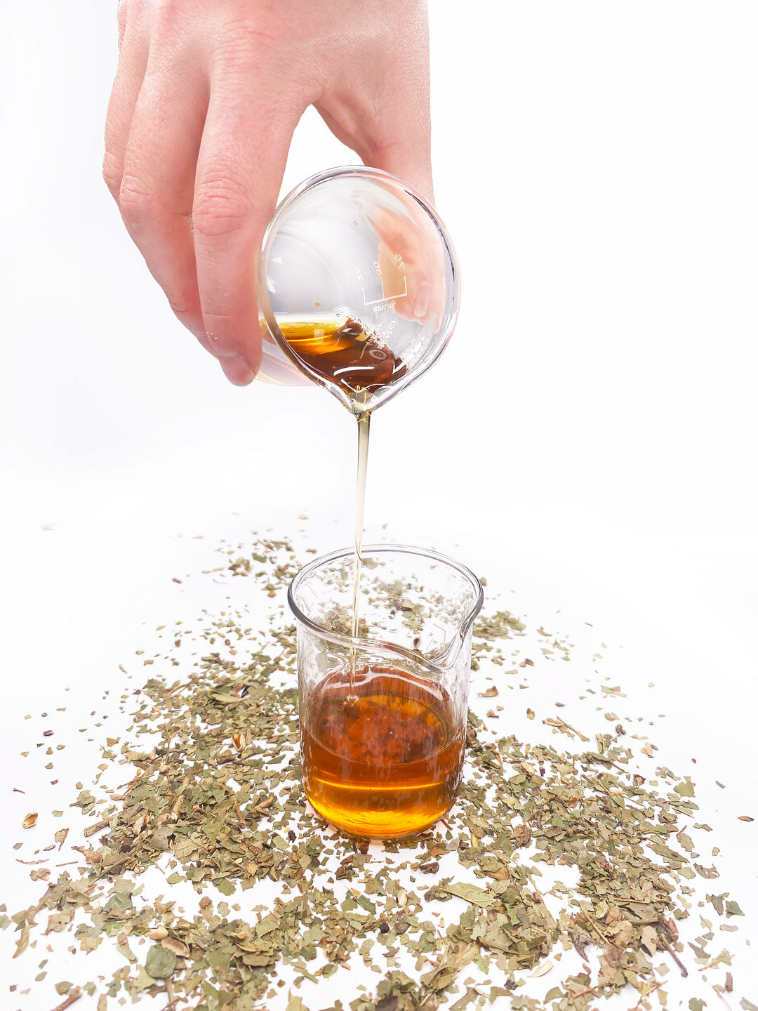 Witchhazel Cellular Extract – NATIVE EXTRACTS