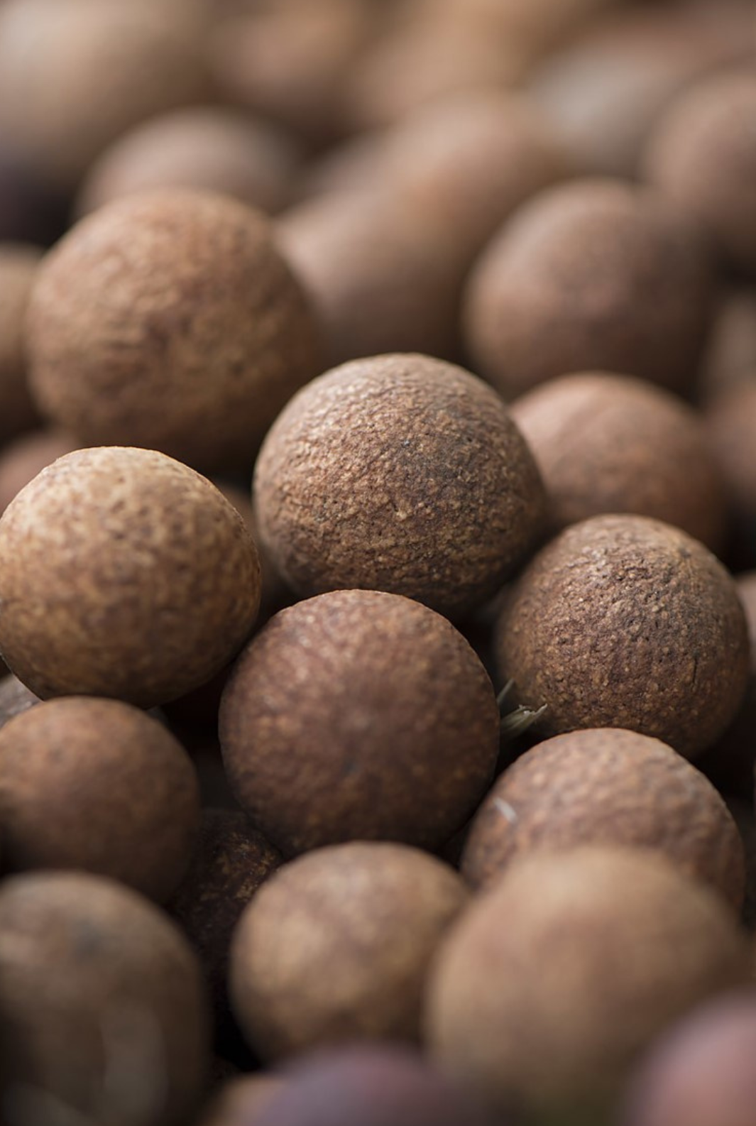 NATIVE EXTRACTS | True to Nature Botanical Extract Manufacturer