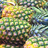 The Pineapple (Ananas sativa), has a yellow and green exterior with spikes, and a top of stiff green leaves, and is used to create the Native Extracts Pineapple Cellular Extract.