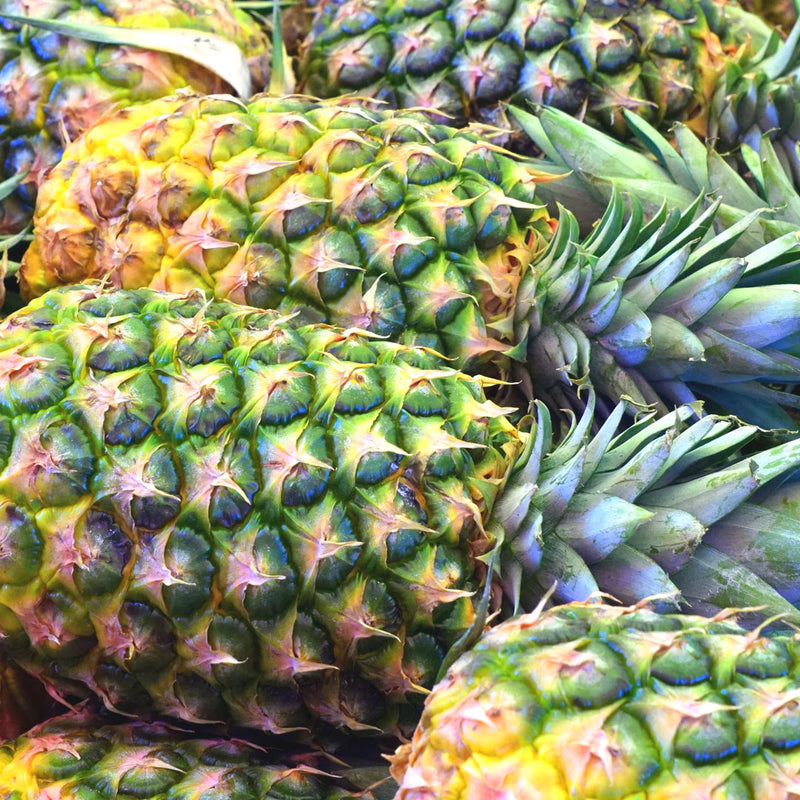 The Pineapple (Ananas sativa), has a yellow and green exterior with spikes, and a top of stiff green leaves, and is used to create the Native Extracts Pineapple Cellular Extract.