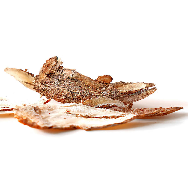 Angelica archangelica root chips sitting on a white background