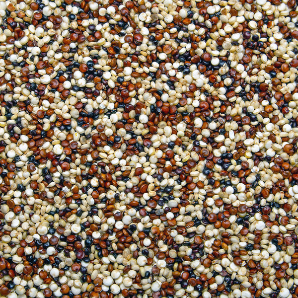 The Quinoa grain (Chenopodium quinoa), in varying shades of brown, is used to create the Native Extracts Quinoa Cellular Extract.