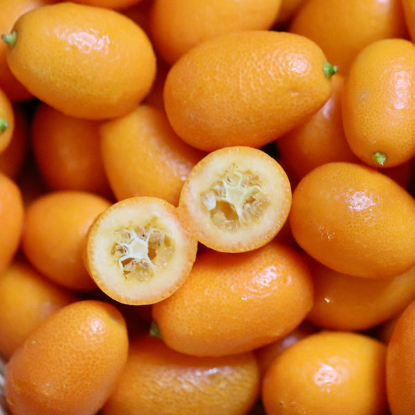 Bright orange-yellow Kumquats, oval in shape with one cut in half showing edible pulp inside. Scientifically known as Citrus japonica creates NATIVE EXTRACTS Kumquat Cellular Extract
