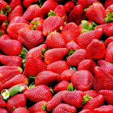 The Strawberry (Fragaria ananassa) fruit is red, oval-shaped with red leaves at the top, and small black leaves on the exterior and is used to create the Native Extracts Strawberry Cellular Extract.