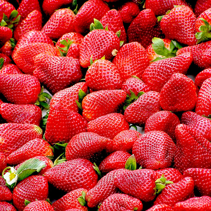 The Strawberry (Fragaria ananassa) fruit is red, oval-shaped with red leaves at the top, and small black leaves on the exterior and is used to create the Native Extracts Strawberry Cellular Extract.