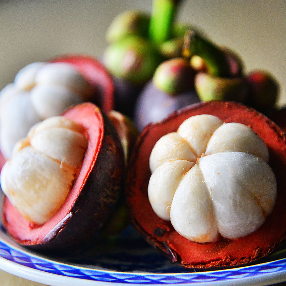 Mangosteen Cellular Extract – NATIVE EXTRACTS