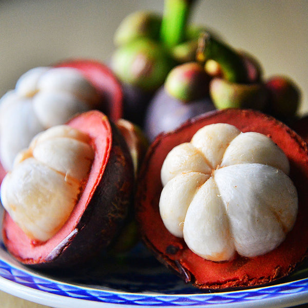 The Mangosteen fruit (Garcinia mangostana), cut open showing the white centre.