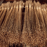Linseeds, also known as flaxseeds.