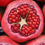 The Pomegranate (Punica granatum), has a multiude of red berries inside the fruit, and is used to create the Native Extracts Pomegranate Cellular Extract.
