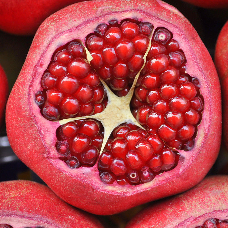 The Pomegranate (Punica granatum), has a multiude of red berries inside the fruit, and is used to create the Native Extracts Pomegranate Cellular Extract.