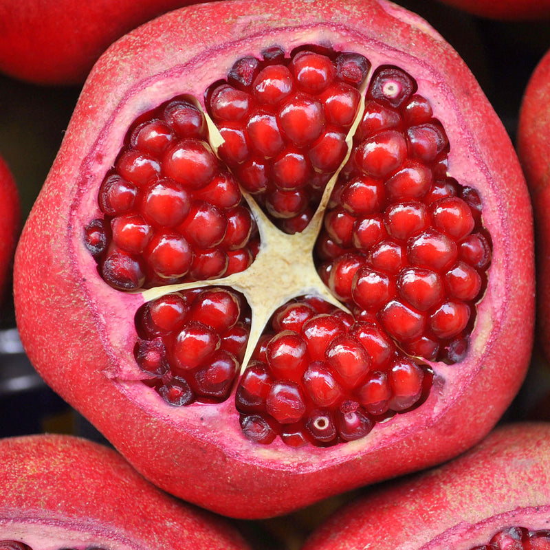 Pomegranate Cellular Extract