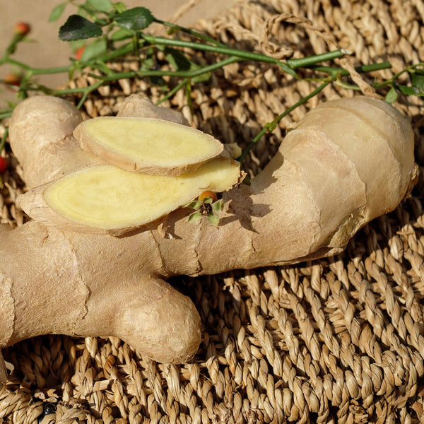 Ginger nob with two slices of cut ginger scientifically known as Zingibar officinalis creates NATIVE EXTRACTS Ginger Cellular Extract