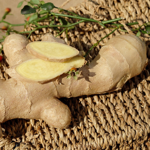 Ginger Cellular Extract