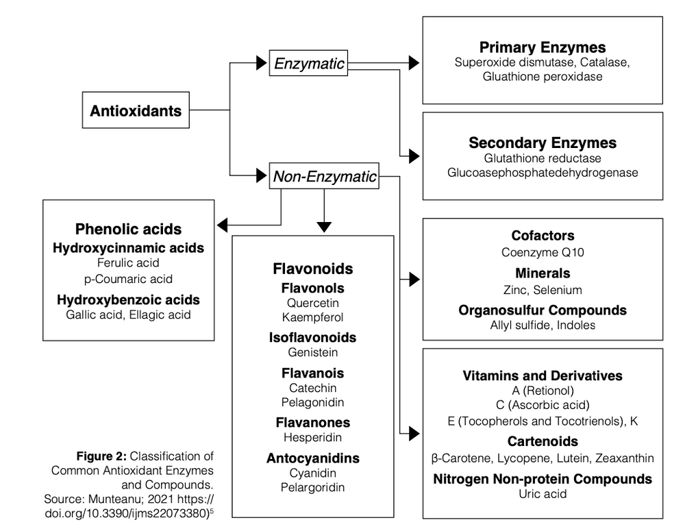 Natural Antioxidant Ingredients For Skin Care  NATIVE EXTRACTS