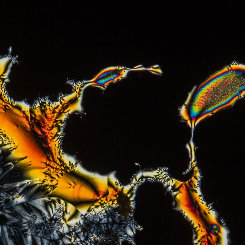 Antioxidants – NATIVE EXTRACTS