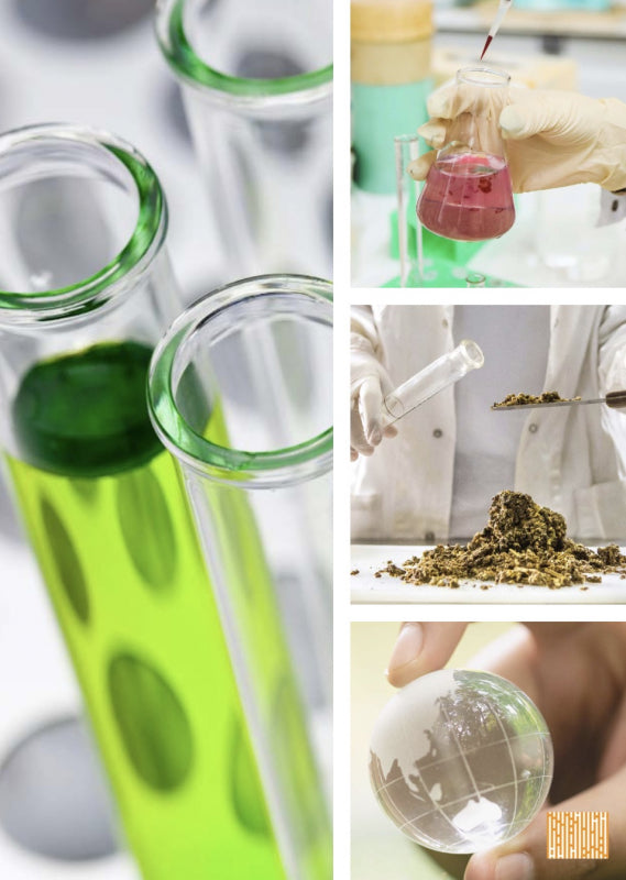 Science of Native Oils – NATIVE EXTRACTS