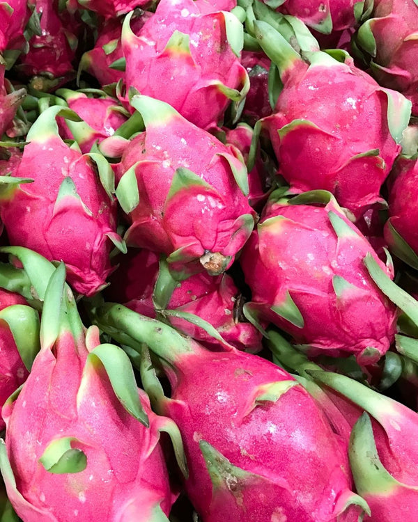 Whole bright pink dragfruits, scientifically known as Hylocereus undatus