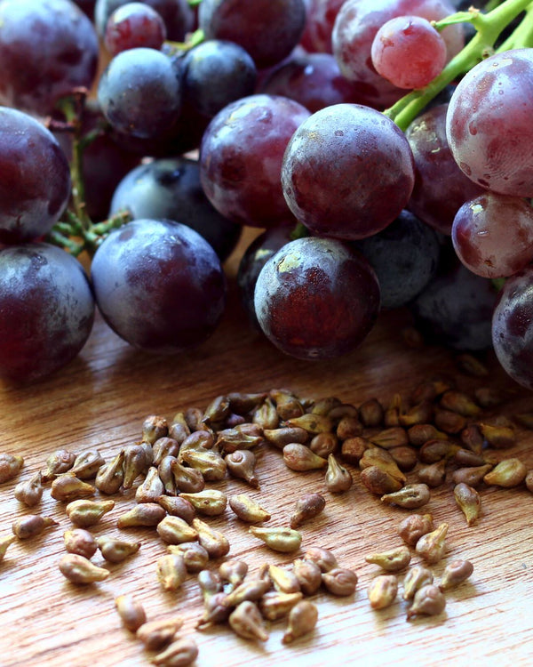Dried grape seeds surround a bunch of deep purple grapes, scientifically known as Vitis vinifera to create NATIVE EXTRACTS Grapeseed Cellular Extract