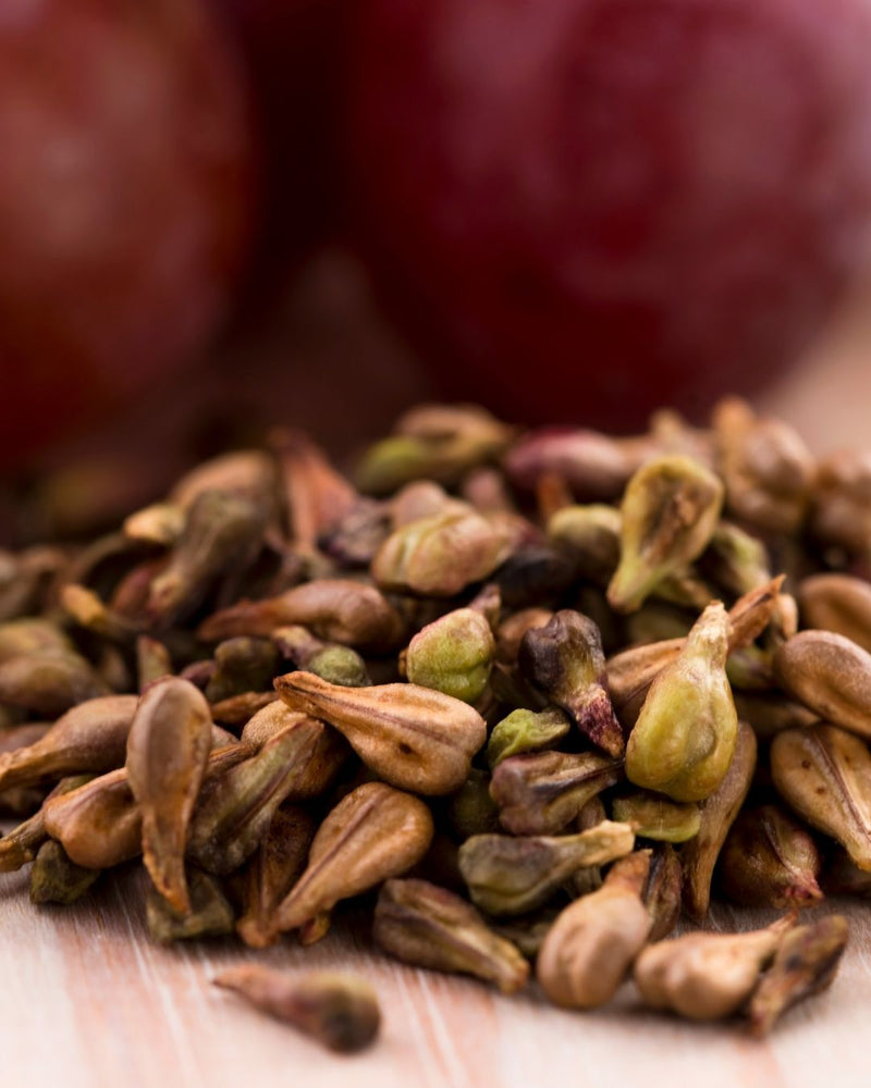 Dried grape seeds scientifically known as Vitis vinifera create cold-pressed Grapeseed Oil