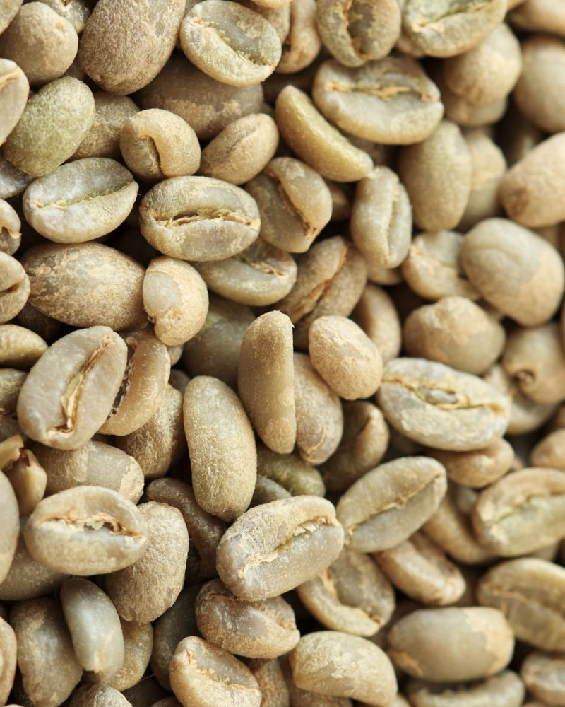 Green Coffee Bean Cellular Extract