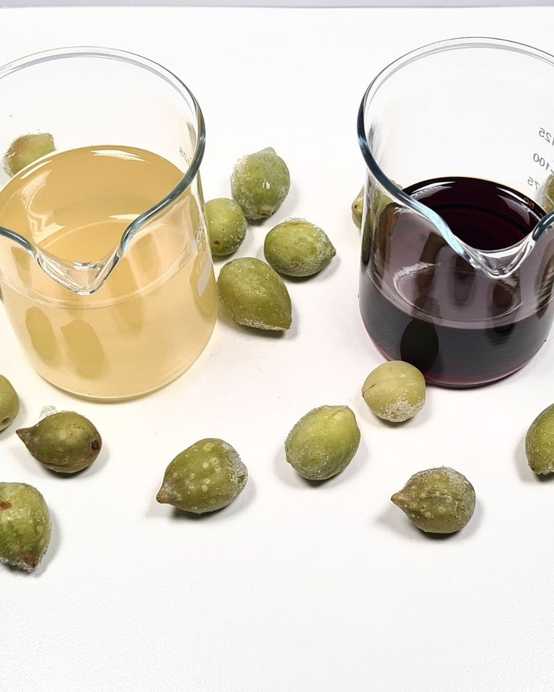 Little Kakadu plum fruits surround both the NATIVE EXTRACTS Kakadu Plum Cellular Extract light yellow in colour and the NATIVE EXTRACTS Kakadu Plum essenXce deep golden in colour in beakers