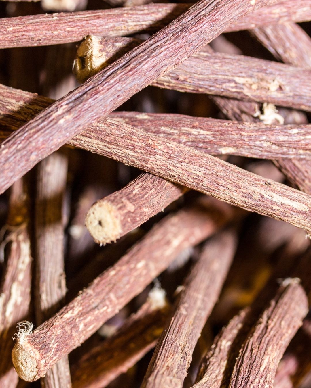 Licorice Cellular Extract – NATIVE EXTRACTS